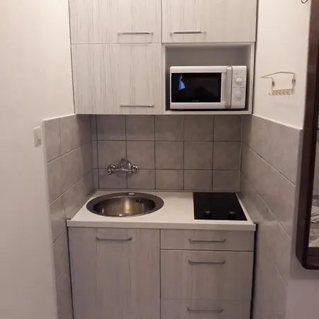 Apartment Vinko *
