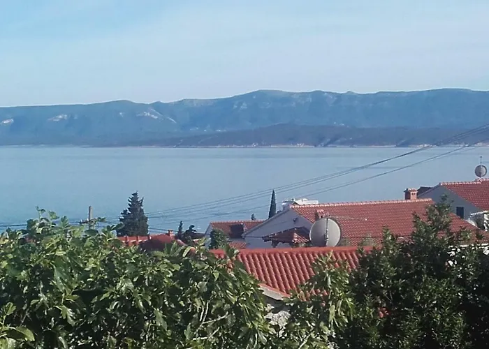 Vinko * Bol